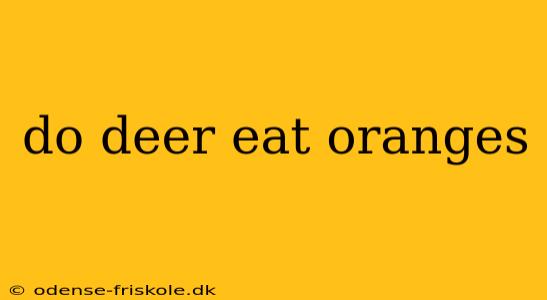 do deer eat oranges