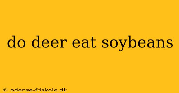 do deer eat soybeans