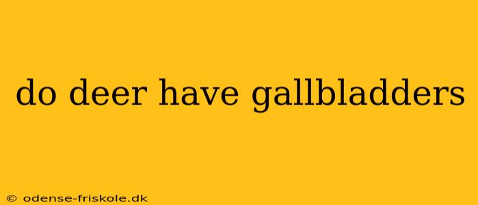 do deer have gallbladders