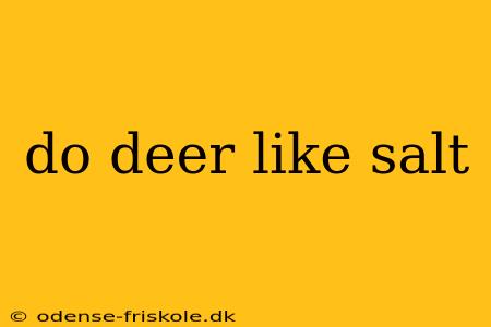 do deer like salt