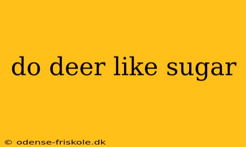 do deer like sugar