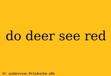 do deer see red