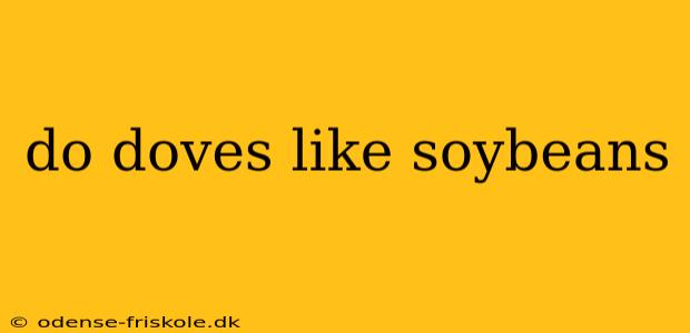 do doves like soybeans