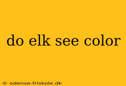 do elk see color