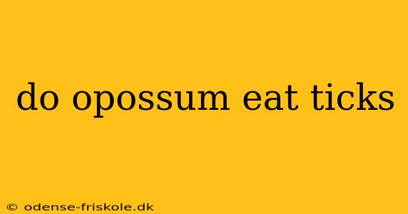 do opossum eat ticks