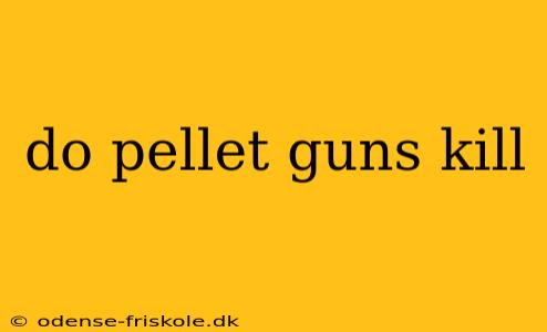 do pellet guns kill