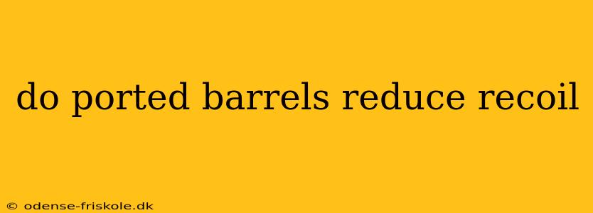 do ported barrels reduce recoil