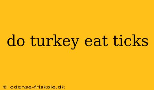 do turkey eat ticks