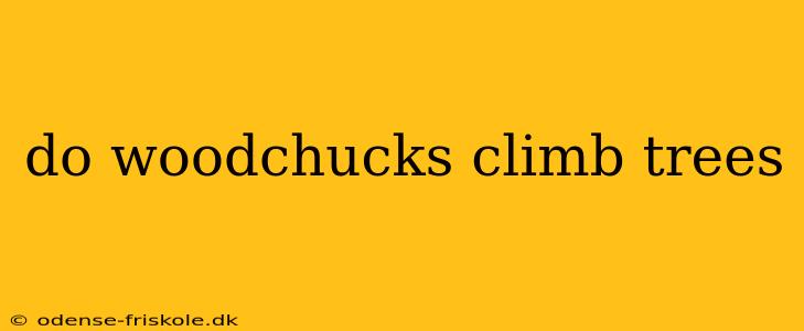 do woodchucks climb trees