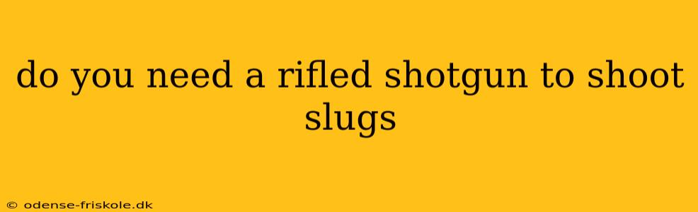 do you need a rifled shotgun to shoot slugs