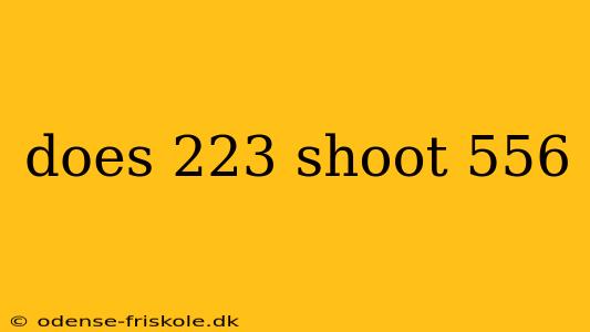 does 223 shoot 556