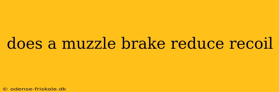 does a muzzle brake reduce recoil