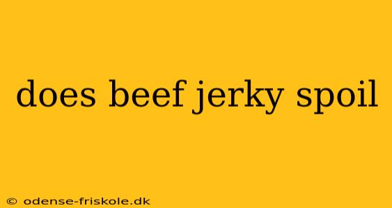 does beef jerky spoil