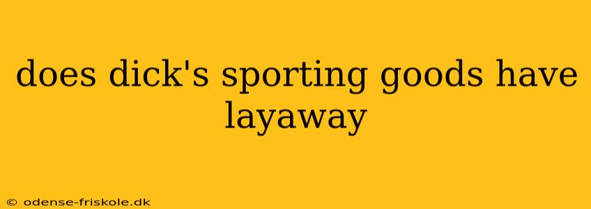 does dick's sporting goods have layaway