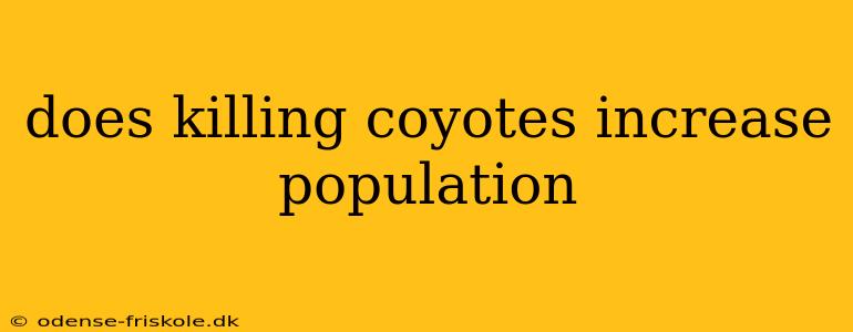 does killing coyotes increase population