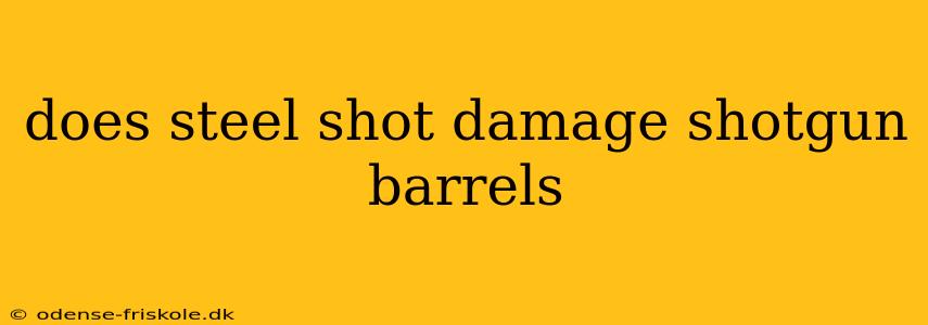 does steel shot damage shotgun barrels