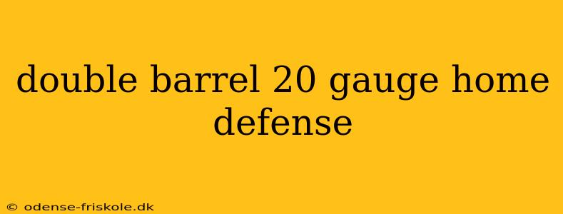 double barrel 20 gauge home defense