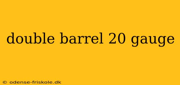 double barrel 20 gauge