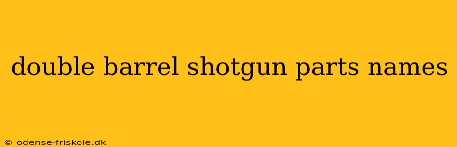 double barrel shotgun parts names