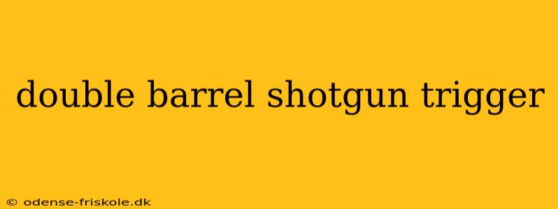 double barrel shotgun trigger