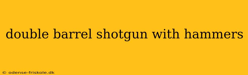 double barrel shotgun with hammers