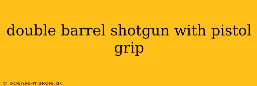 double barrel shotgun with pistol grip