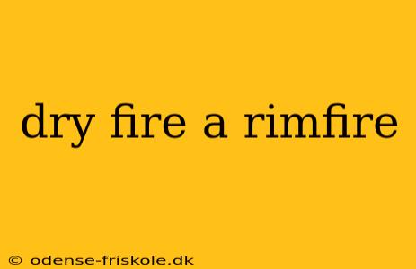 dry fire a rimfire