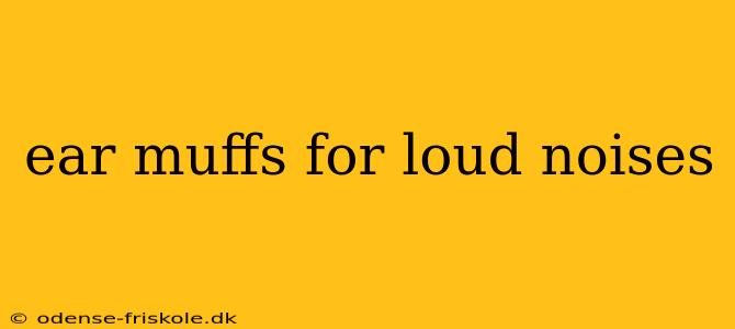 ear muffs for loud noises