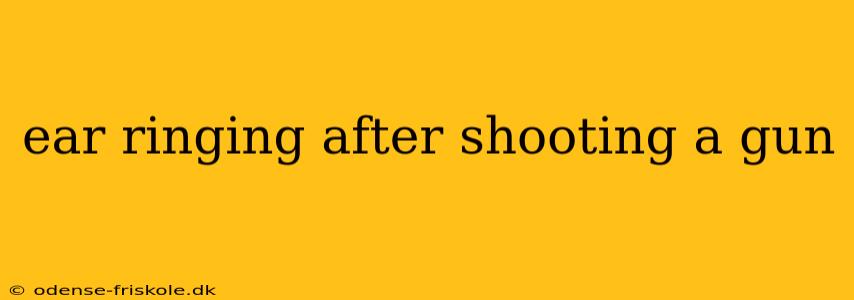 ear ringing after shooting a gun