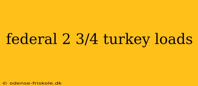 federal 2 3/4 turkey loads