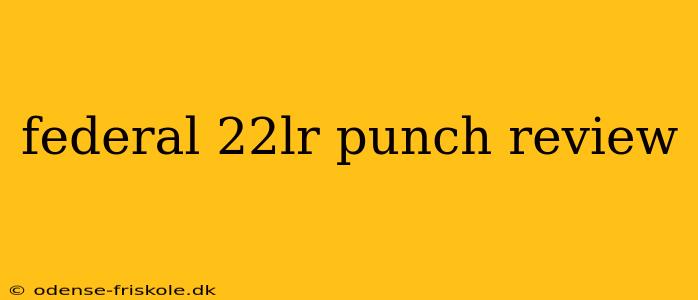 federal 22lr punch review