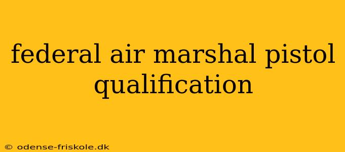 federal air marshal pistol qualification