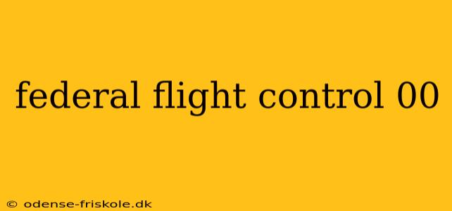 federal flight control 00