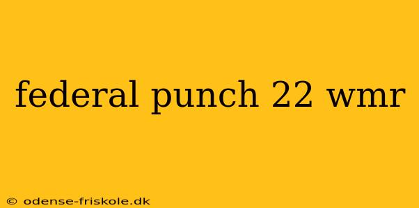 federal punch 22 wmr