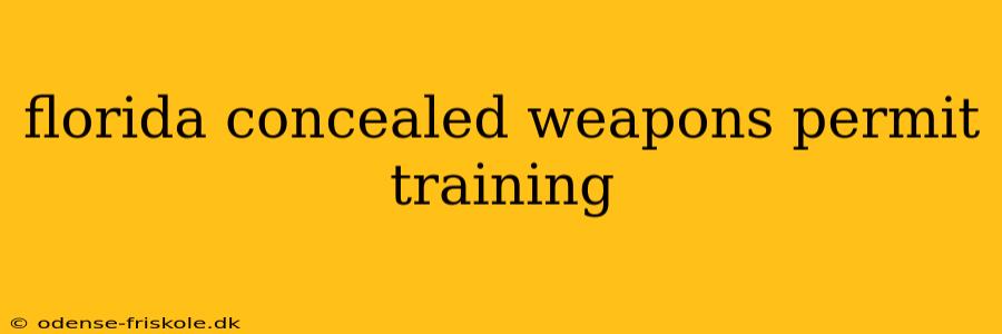 florida concealed weapons permit training