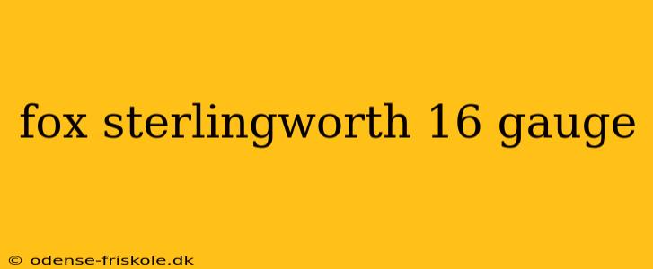 fox sterlingworth 16 gauge