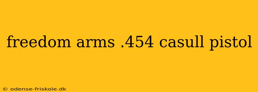 freedom arms .454 casull pistol