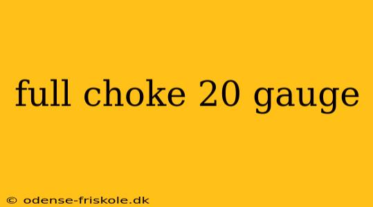 full choke 20 gauge