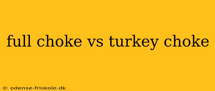 full choke vs turkey choke