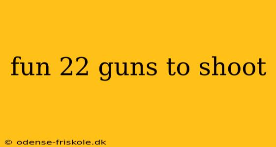 fun 22 guns to shoot