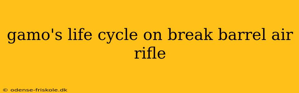 gamo's life cycle on break barrel air rifle