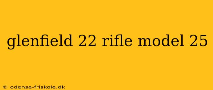 glenfield 22 rifle model 25