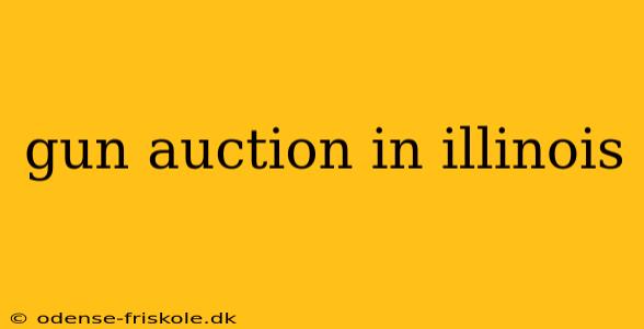 gun auction in illinois