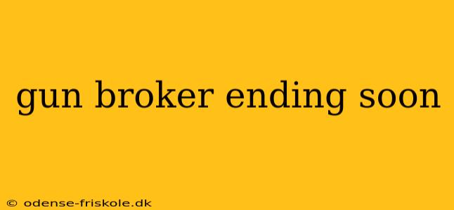 gun broker ending soon