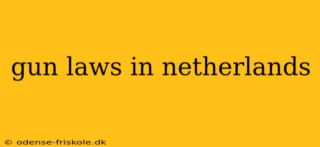 gun laws in netherlands