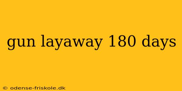 gun layaway 180 days