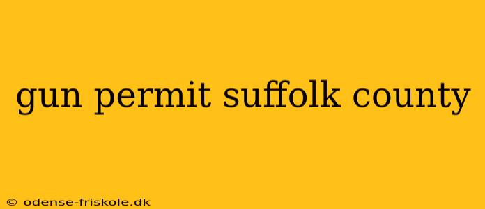 gun permit suffolk county