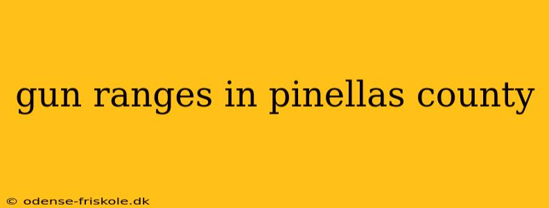 gun ranges in pinellas county