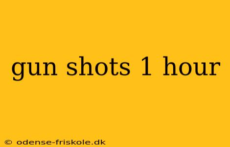 gun shots 1 hour