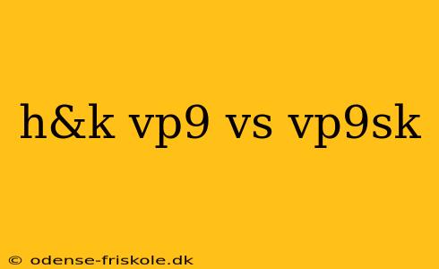 h&k vp9 vs vp9sk